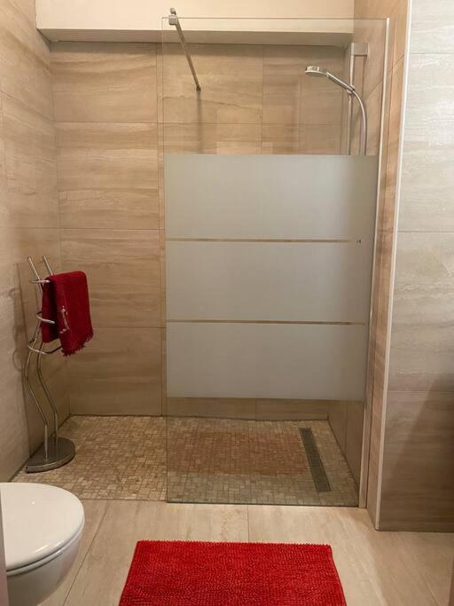 Charmant Appartement Renove Au Coeur Du Village Saint-Martin-Vésubie Exterior photo